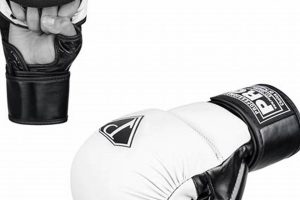 Best Boxing Gloves for MMA Training & Fights Ultimate Guide to MMA: Training, Techniques, and Top Fighters in The World Best Boxing Gloves for MMA Training & Fights | Ultimate Guide to MMA: Training, Techniques, and Top Fighters in The World