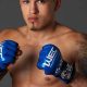 Top Latino MMA Fighters: A Rising Force | Ultimate Guide to MMA: Training, Techniques, and Top Fighters in The World