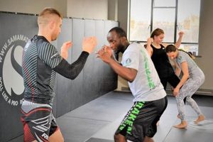 Best MMA Beginner Classes: Start Training Today Ultimate Guide to MMA: Training, Techniques, and Top Fighters in The World Best MMA Beginner Classes: Start Training Today | Ultimate Guide to MMA: Training, Techniques, and Top Fighters in The World