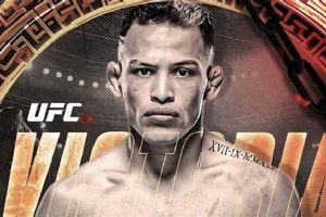 Ultimate Lazy Boy MMA Guide & Techniques | Ultimate Guide to MMA: Training, Techniques, and Top Fighters in The World