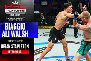 Prospect Ali Walsh MMA Career & Fight History | Ultimate Guide to MMA: Training, Techniques, and Top Fighters in The World