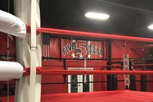 502 Mma | Ultimate Guide to MMA: Training, Techniques, and Top Fighters in The World