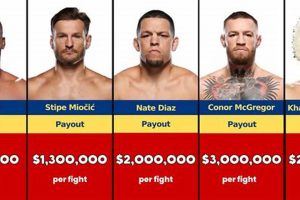 The Ultimate Guide to MMA Wages & Salaries Ultimate Guide to MMA: Training, Techniques, and Top Fighters in The World The Ultimate Guide to MMA Wages & Salaries | Ultimate Guide to MMA: Training, Techniques, and Top Fighters in The World
