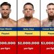The Ultimate Guide to MMA Wages & Salaries | Ultimate Guide to MMA: Training, Techniques, and Top Fighters in The World