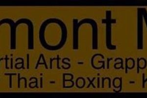 Best Lemont MMA Gyms & Training | Ultimate Guide to MMA: Training, Techniques, and Top Fighters in The World
