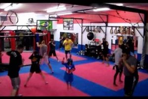 Train Primal: Caveman Crew MMA Gym Ultimate Guide to MMA: Training, Techniques, and Top Fighters in The World Train Primal: Caveman Crew MMA Gym | Ultimate Guide to MMA: Training, Techniques, and Top Fighters in The World