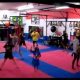 Train Primal: Caveman Crew MMA Gym | Ultimate Guide to MMA: Training, Techniques, and Top Fighters in The World