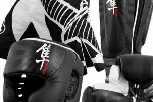 Best MMA Equipment Bundle Deals & Kits Ultimate Guide to MMA: Training, Techniques, and Top Fighters in The World Best MMA Equipment Bundle Deals & Kits | Ultimate Guide to MMA: Training, Techniques, and Top Fighters in The World