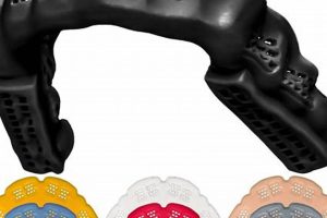 Best Mouth Guards for MMA Fighters: Ultimate Protection Ultimate Guide to MMA: Training, Techniques, and Top Fighters in The World Best Mouth Guards for MMA Fighters: Ultimate Protection | Ultimate Guide to MMA: Training, Techniques, and Top Fighters in The World