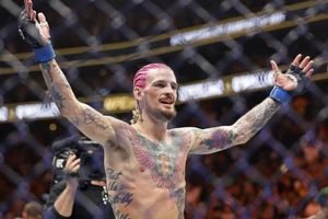 The Ultimate Guide to Suga MMA Fighters Ultimate Guide to MMA: Training, Techniques, and Top Fighters in The World The Ultimate Guide to Suga MMA Fighters | Ultimate Guide to MMA: Training, Techniques, and Top Fighters in The World