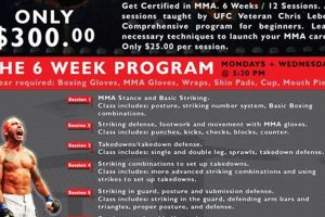 Ultimate 6-Week MMA Training Guide Ultimate Guide to MMA: Training, Techniques, and Top Fighters in The World Ultimate 6-Week MMA Training Guide | Ultimate Guide to MMA: Training, Techniques, and Top Fighters in The World
