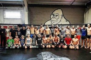 Train Like Conor: McGregor's SBG Ireland Gym Ultimate Guide to MMA: Training, Techniques, and Top Fighters in The World Train Like Conor: McGregor's SBG Ireland Gym | Ultimate Guide to MMA: Training, Techniques, and Top Fighters in The World