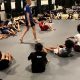 Best MMA Gyms &amp; Training in Phoenix, AZ | Ultimate Guide to MMA: Training, Techniques, and Top Fighters in The World