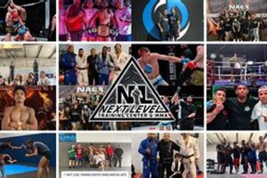 Elevate Your MMA Game: Next Level Training Ultimate Guide to MMA: Training, Techniques, and Top Fighters in The World Elevate Your MMA Game: Next Level Training | Ultimate Guide to MMA: Training, Techniques, and Top Fighters in The World