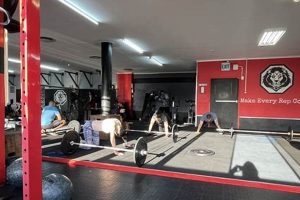 Mma Sign Up Ultimate Guide to MMA: Training, Techniques, and Top Fighters in The World Mma Sign Up | Ultimate Guide to MMA: Training, Techniques, and Top Fighters in The World