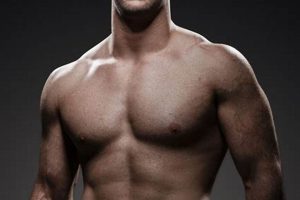 Top Male MMA Fighters: Training & Lifestyle Ultimate Guide to MMA: Training, Techniques, and Top Fighters in The World Top Male MMA Fighters: Training & Lifestyle | Ultimate Guide to MMA: Training, Techniques, and Top Fighters in The World