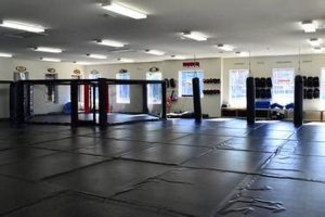 Best Hayastan MMA Gym in Charlotte, NC Ultimate Guide to MMA: Training, Techniques, and Top Fighters in The World Best Hayastan MMA Gym in Charlotte, NC | Ultimate Guide to MMA: Training, Techniques, and Top Fighters in The World