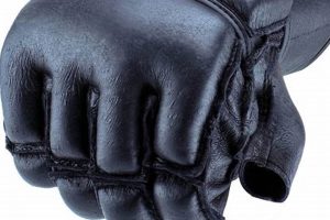 Best Harbinger MMA Gloves for Training & Sparring Ultimate Guide to MMA: Training, Techniques, and Top Fighters in The World Best Harbinger MMA Gloves for Training & Sparring | Ultimate Guide to MMA: Training, Techniques, and Top Fighters in The World