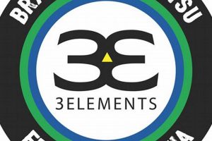 Mastering the 3 Elements of BJJ & MMA for Success Ultimate Guide to MMA: Training, Techniques, and Top Fighters in The World Mastering the 3 Elements of BJJ & MMA for Success | Ultimate Guide to MMA: Training, Techniques, and Top Fighters in The World