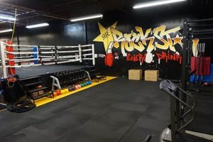 Best MMA Boxing Gym: Train Like a Pro Ultimate Guide to MMA: Training, Techniques, and Top Fighters in The World Best MMA Boxing Gym: Train Like a Pro | Ultimate Guide to MMA: Training, Techniques, and Top Fighters in The World