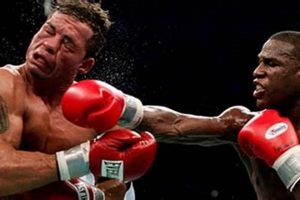 Top 10 MMA Best Knockouts of All Time Ultimate Guide to MMA: Training, Techniques, and Top Fighters in The World Top 10 MMA Best Knockouts of All Time | Ultimate Guide to MMA: Training, Techniques, and Top Fighters in The World