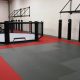 Premium MMA Gym For Sale: Prime Location | Ultimate Guide to MMA: Training, Techniques, and Top Fighters in The World