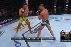 Ultimate MMA Shre Guide for Fighters | Ultimate Guide to MMA: Training, Techniques, and Top Fighters in The World