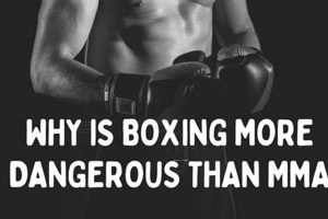 Is Boxing Riskier Than MMA? A Safety Analysis Ultimate Guide to MMA: Training, Techniques, and Top Fighters in The World Is Boxing Riskier Than MMA? A Safety Analysis | Ultimate Guide to MMA: Training, Techniques, and Top Fighters in The World