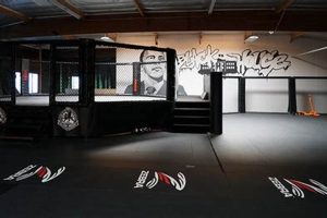 The Ultimate Black House MMA Gym Guide Ultimate Guide to MMA: Training, Techniques, and Top Fighters in The World The Ultimate Black House MMA Gym Guide | Ultimate Guide to MMA: Training, Techniques, and Top Fighters in The World