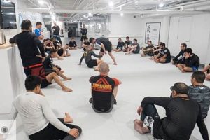 Top 5 Best MMA Gyms in Boston: Expert Guide Ultimate Guide to MMA: Training, Techniques, and Top Fighters in The World Top 5 Best MMA Gyms in Boston: Expert Guide | Ultimate Guide to MMA: Training, Techniques, and Top Fighters in The World