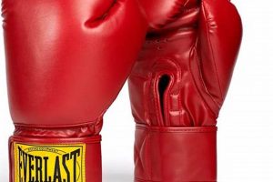 Best 14 oz MMA Gloves for Training & Sparring Ultimate Guide to MMA: Training, Techniques, and Top Fighters in The World Best 14 oz MMA Gloves for Training & Sparring | Ultimate Guide to MMA: Training, Techniques, and Top Fighters in The World