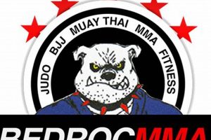 Advanced BEDROC MMA Fighter Ranking Analysis Ultimate Guide to MMA: Training, Techniques, and Top Fighters in The World Advanced BEDROC MMA Fighter Ranking Analysis | Ultimate Guide to MMA: Training, Techniques, and Top Fighters in The World