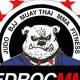 Advanced BEDROC MMA Fighter Ranking Analysis | Ultimate Guide to MMA: Training, Techniques, and Top Fighters in The World