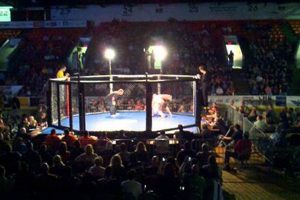 Best MMA Gyms & Training in Kalamazoo, MI Ultimate Guide to MMA: Training, Techniques, and Top Fighters in The World Best MMA Gyms & Training in Kalamazoo, MI | Ultimate Guide to MMA: Training, Techniques, and Top Fighters in The World