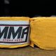 The Best MMA Bookstore & More | Ultimate Guide to MMA: Training, Techniques, and Top Fighters in The World