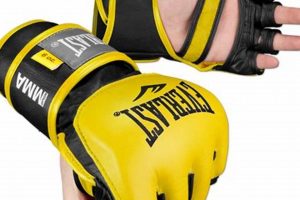Best 6oz MMA Gloves: Guide & Reviews Ultimate Guide to MMA: Training, Techniques, and Top Fighters in The World Best 6oz MMA Gloves: Guide & Reviews | Ultimate Guide to MMA: Training, Techniques, and Top Fighters in The World