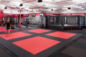 Best MMA Gym Fitness Center: Train Like a Pro Ultimate Guide to MMA: Training, Techniques, and Top Fighters in The World Best MMA Gym Fitness Center: Train Like a Pro | Ultimate Guide to MMA: Training, Techniques, and Top Fighters in The World