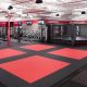 Best MMA Gym Fitness Center: Train Like a Pro | Ultimate Guide to MMA: Training, Techniques, and Top Fighters in The World