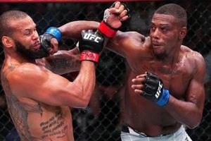 MMA Fight Results Last Night: Winner & Highlights Ultimate Guide to MMA: Training, Techniques, and Top Fighters in The World MMA Fight Results Last Night: Winner & Highlights | Ultimate Guide to MMA: Training, Techniques, and Top Fighters in The World
