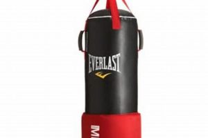 Best Everlast MMA Boxing Bags for Training Ultimate Guide to MMA: Training, Techniques, and Top Fighters in The World Best Everlast MMA Boxing Bags for Training | Ultimate Guide to MMA: Training, Techniques, and Top Fighters in The World