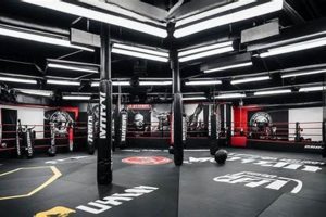 Best MMA Gyms in London UK: Top Picks Ultimate Guide to MMA: Training, Techniques, and Top Fighters in The World Best MMA Gyms in London UK: Top Picks | Ultimate Guide to MMA: Training, Techniques, and Top Fighters in The World