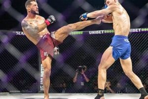 The Ultimate Guide to ARES MMA Fighting | Ultimate Guide to MMA: Training, Techniques, and Top Fighters in The World