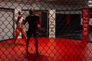 Level Up with Private MMA Classes: Personalized Training Ultimate Guide to MMA: Training, Techniques, and Top Fighters in The World Level Up with Private MMA Classes: Personalized Training | Ultimate Guide to MMA: Training, Techniques, and Top Fighters in The World