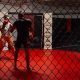 Level Up with Private MMA Classes: Personalized Training | Ultimate Guide to MMA: Training, Techniques, and Top Fighters in The World