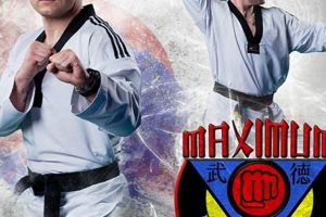 Achieve Maximum MMA Potential: A Guide | Ultimate Guide to MMA: Training, Techniques, and Top Fighters in The World