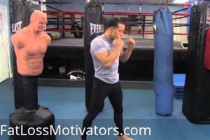 Ultimate MMA Training at Home Guide Ultimate Guide to MMA: Training, Techniques, and Top Fighters in The World Ultimate MMA Training at Home Guide | Ultimate Guide to MMA: Training, Techniques, and Top Fighters in The World