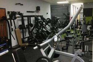 Top Arlington MMA Gym: Train Like a Pro Ultimate Guide to MMA: Training, Techniques, and Top Fighters in The World Top Arlington MMA Gym: Train Like a Pro | Ultimate Guide to MMA: Training, Techniques, and Top Fighters in The World