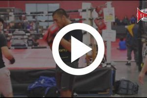 Best MMA Training in Bakersfield: Gyms & Classes Ultimate Guide to MMA: Training, Techniques, and Top Fighters in The World Best MMA Training in Bakersfield: Gyms & Classes | Ultimate Guide to MMA: Training, Techniques, and Top Fighters in The World