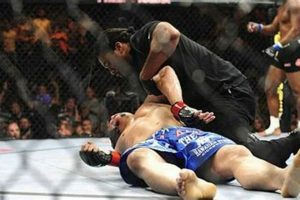 Tragic MMA Deaths: Inside the Cage Ultimate Guide to MMA: Training, Techniques, and Top Fighters in The World Tragic MMA Deaths: Inside the Cage | Ultimate Guide to MMA: Training, Techniques, and Top Fighters in The World