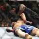 Tragic MMA Deaths: Inside the Cage | Ultimate Guide to MMA: Training, Techniques, and Top Fighters in The World